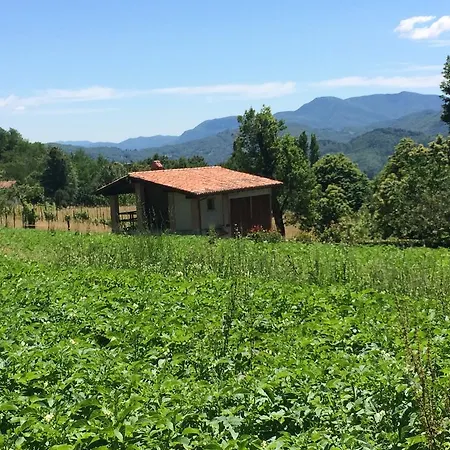 Agriturismo Braccicorti * Pieve Fosciana