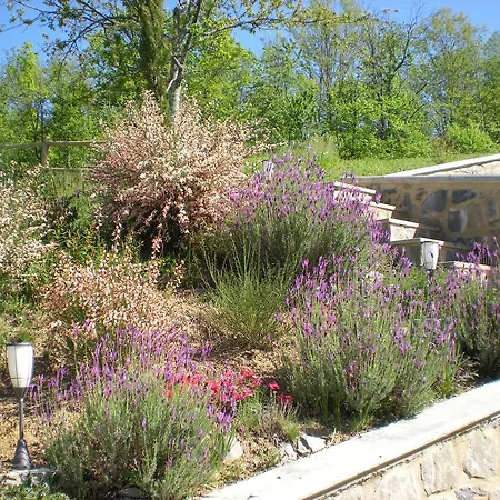 ファームステイ Agriturismo Braccicorti *