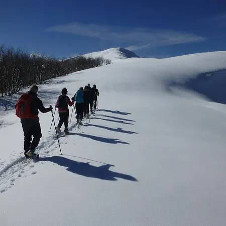 Agriturismo Braccicorti ファームステイ *
