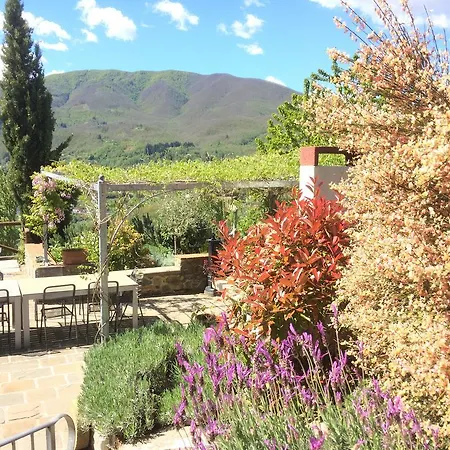 ファームステイ Agriturismo Braccicorti *