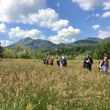 Agriturismo Braccicorti ファームステイ *