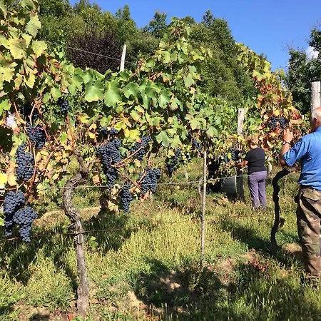 ファームステイ Agriturismo Braccicorti *